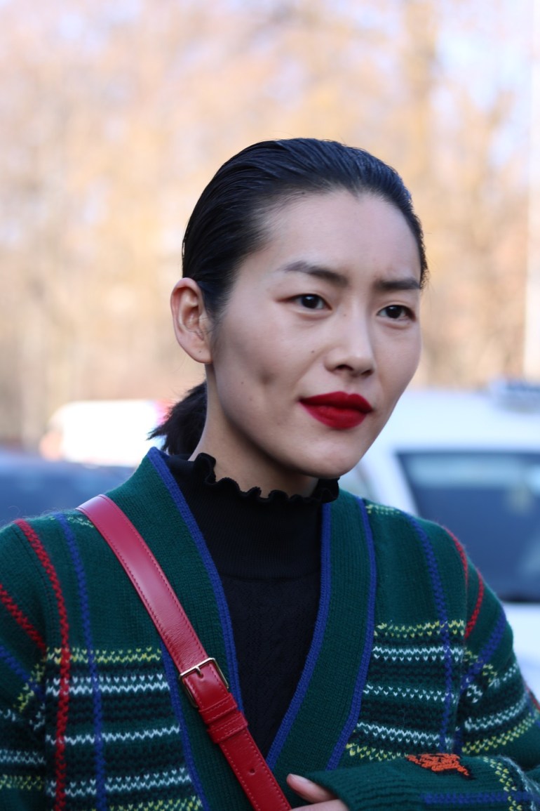 a_liu wen tods